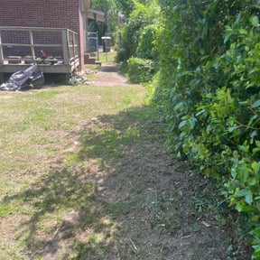 Bush Trimming by Innovation Conservation reviewed on August 16, 2025