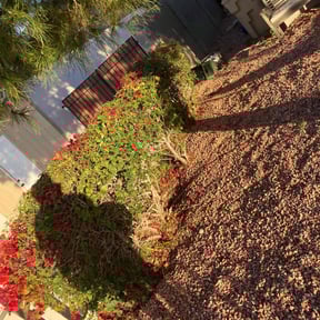 Bush Trimming by BladezoflightningLLC reviewed on November 7, 2025