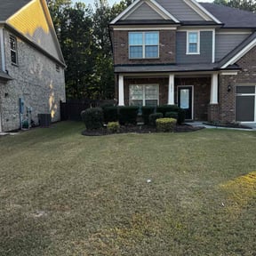 Bush Trimming by Yarden Ops reviewed on August 17, 2025