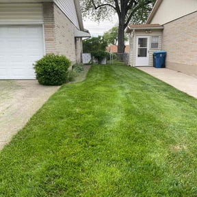 turf care by Texas Turf Masters reviewed on May 9, 2024