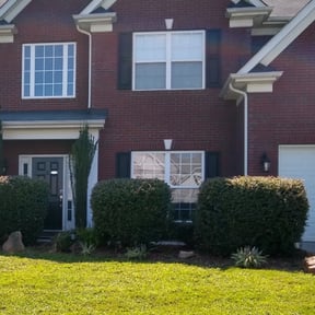 Bush Trimming by DmW Lawn care reviewed on August 17, 2025