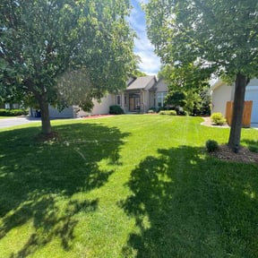 landscape maintenance by Universal Outdoor Services reviewed on December 18, 2025