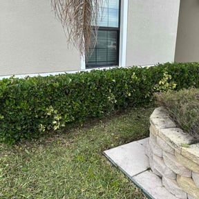 Bush Trimming by LEL landscape reviewed on December 15, 2025