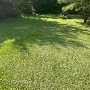 yard maintenance by Lee's Mowing reviewed on August 17, 2025
