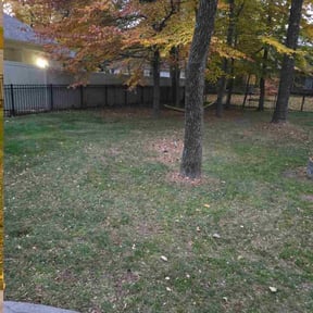 Leaf Removal by Larry&#039;s Leaf N Lawn reviewed on November 20, 2025