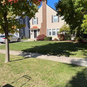 lawn care by DDIY LAWN AND HOME reviewed on August 21, 2025
