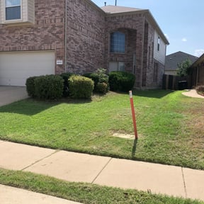 Bush Trimming by Brown Boy Services reviewed on August 17, 2025