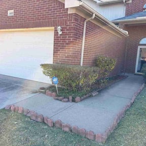 Bush Trimming by BSM &amp; Co. Landscaping reviewed on December 16, 2025