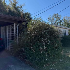 Bush Trimming by Joe mowing reviewed on December 17, 2025