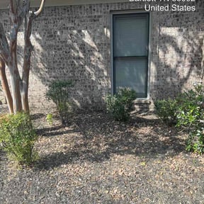 Bush Trimming by REMAVAIL PRO LAWN reviewed on September 1, 2026