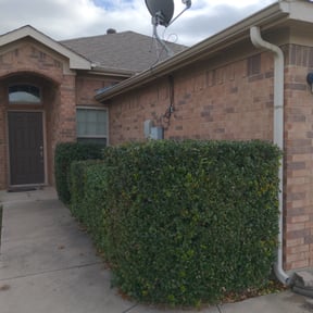 Bush Trimming by Ochoa Landscape and Irrigaton LLC reviewed on August 18, 2025