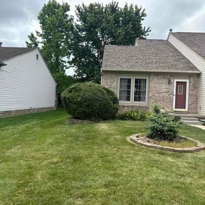 Bush Trimming by Joeys landscaping llc reviewed on June 9, 2026