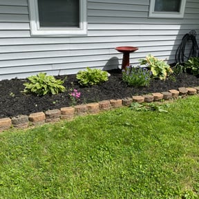 Flower Bed Weeding by Raptor Lawn Care LLC reviewed on August 18, 2025