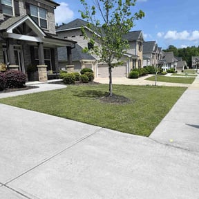 yard maintenance by Sand Ridge Lawn Care reviewed on May 8, 2024