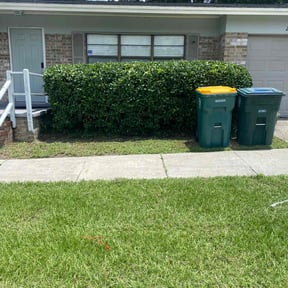 Bush Trimming by Goetreeservices reviewed on August 21, 2025