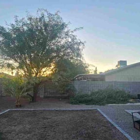 Bush Trimming by Felo Pride lawn services reviewed on October 22, 2025