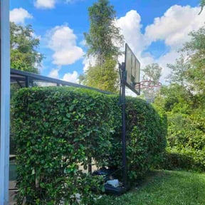 Bush Trimming by RazaSharpe lanscaping LLC reviewed on October 20, 2025