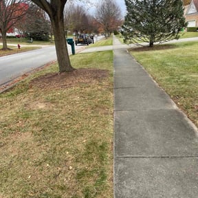 Leaf Removal by All In One Lawn Care reviewed on October 3, 2025