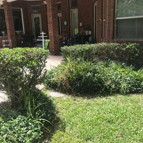 Bush Trimming by BiG Lawn Service reviewed on August 19, 2025