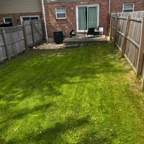grass maintenance by Quality cuts reviewed on April 6, 2024