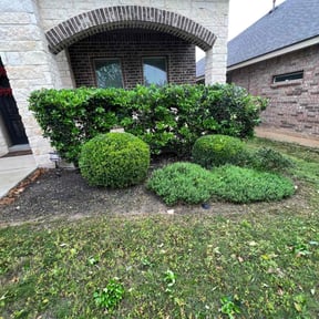 Bush Trimming by P.Q.S.G reviewed on November 22, 2025