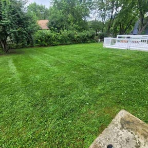 residential landscaping by TOMS - Total Outdoor Maintenance reviewed on August 17, 2025