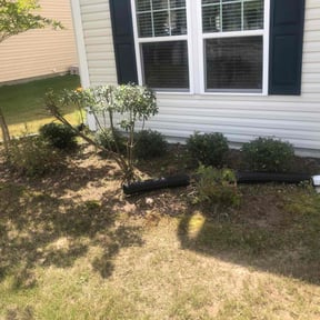 Bush Trimming by M &amp; F Landscaping Services LLC reviewed on November 24, 2025