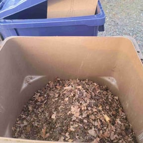 Leaf Removal by Kris's lawn care reviewed on December 16, 2025