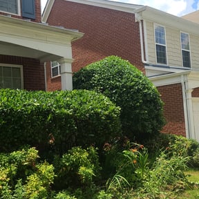 Bush Trimming by RJ's Lawn Care reviewed on August 19, 2025