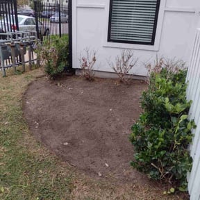 Bush Trimming by Home and lawn reviewed on November 10, 2025