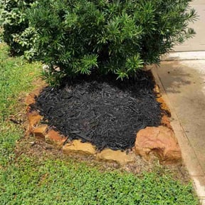 Mulching by McDannell Improvements reviewed on August 18, 2025