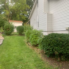 Bush Trimming by Armstrong's Lawn Care Plus reviewed on August 21, 2025