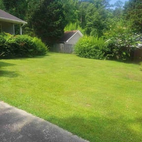 yard service by Allen's Lawn Care reviewed on August 19, 2025