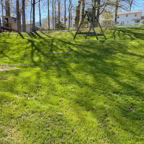 yard maintenance by Felicianos Lawn Maintenance LLC reviewed on August 15, 2025