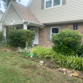 Bush Trimming by Affordable lawn reviewed on August 21, 2025