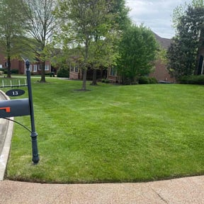yard service by Ochoa Landscape and Irrigaton LLC reviewed on August 20, 2025