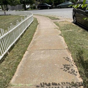 turf maintenance by Ron&#039;s lawn care reviewed on September 29, 2023