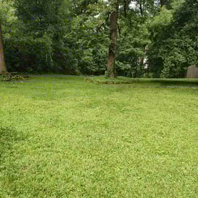 lawn maintenance by Lawn pro reviewed on March 3, 2020