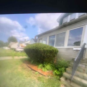 Bush Trimming by 3B Landscaping. reviewed on August 17, 2026