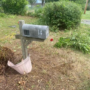 Bush Trimming by AG lawn service reviewed on August 19, 2025