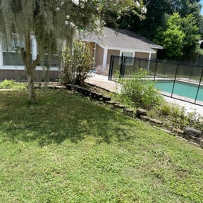 Bush Trimming by Paz Lawn Services reviewed on August 19, 2025