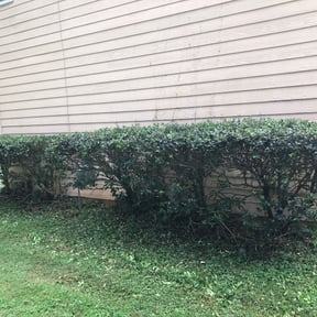 lawn service by Devin landscaping reviewed on September 11, 2024