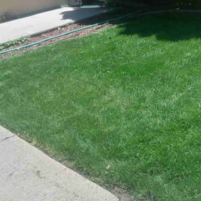 lawn care services by Mower man reviewed on May 8, 2025