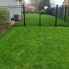 turf maintenance by Legacy Lawn Pros reviewed on August 20, 2025