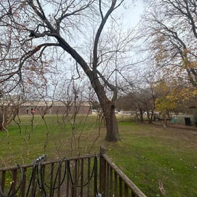 Leaf Removal by Kiko Lawn Care reviewed on November 25, 2025