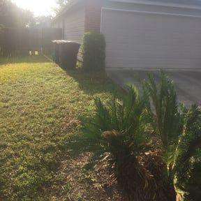 Bush Trimming by Sebastian Damaso reviewed on August 18, 2025