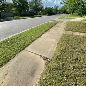 lawn service by United Hands Royalty Lawn Care reviewed on May 18, 2024
