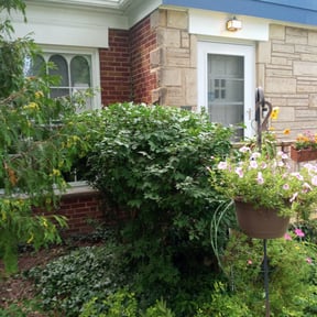 Bush Trimming by 316D Lawn Care reviewed on August 18, 2025