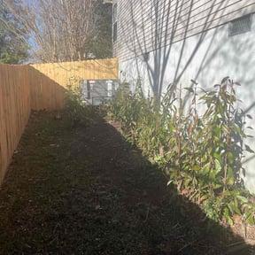 Bush Trimming by Gemini landscaping reviewed on August 17, 2025