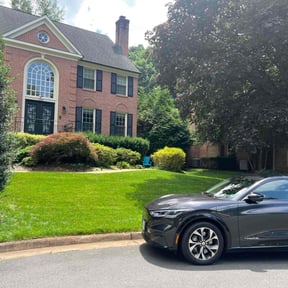 yard maintenance by Solo Lawns reviewed on November 22, 2025